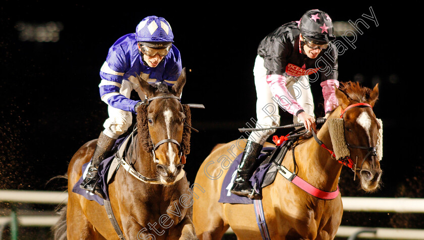 Tyrsal-0004 
 TYRSAL (left, Gavin Ashton) beats SOCIOLOGIST (right) in The Heed Your Hunch At Betway Handicap
Southwell 15 Jan 2020 - Pic Steven Cargill / Racingfotos.com