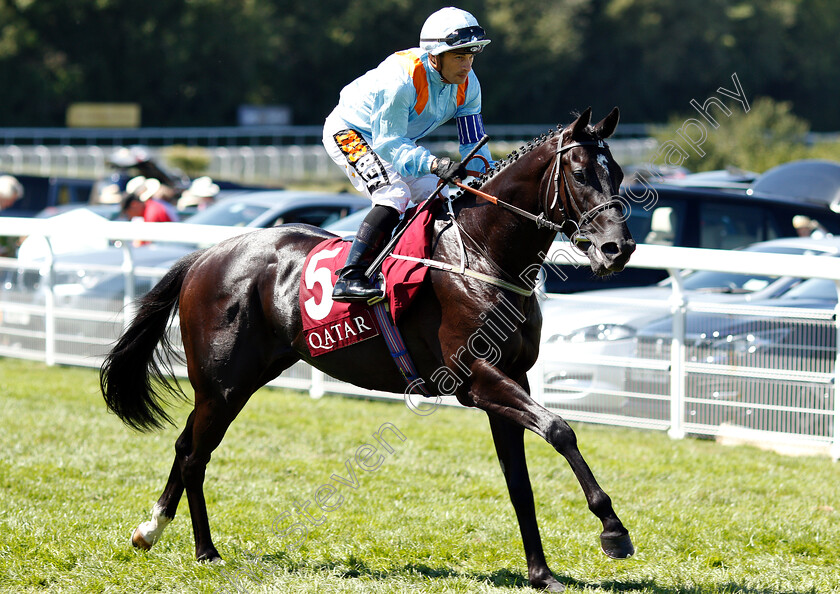 Marie s-Diamond-0001 
 MARIE'S DIAMOND (Silvestre De Sousa)
Goodwood 2 Aug 2018 - Pic Steven Cargill / Racingfotos.com