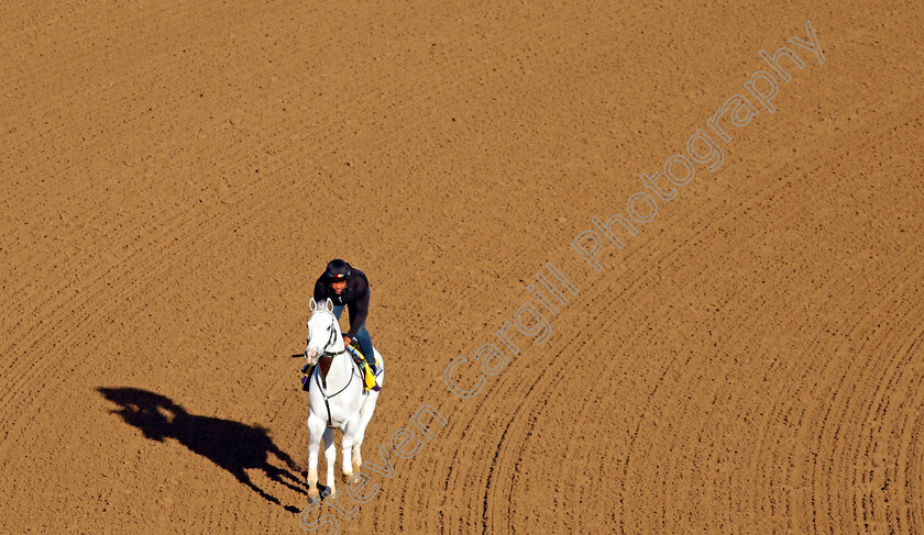 Arthur s-Ride-0002 
 ARTHUR'S RIDE training for the Breeders' Cup Classic
Del Mar USA 30 Oct 2024 - Pic Steven Cargill / Racingfotos.com