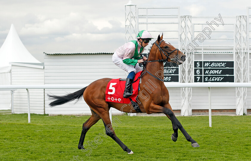 Firth-Of-Clyde-0001 
 FIRTH OF CLYDE (William Buick)
Goodwood 29 Aug 2021 - Pic Steven Cargill / Racingfotos.com