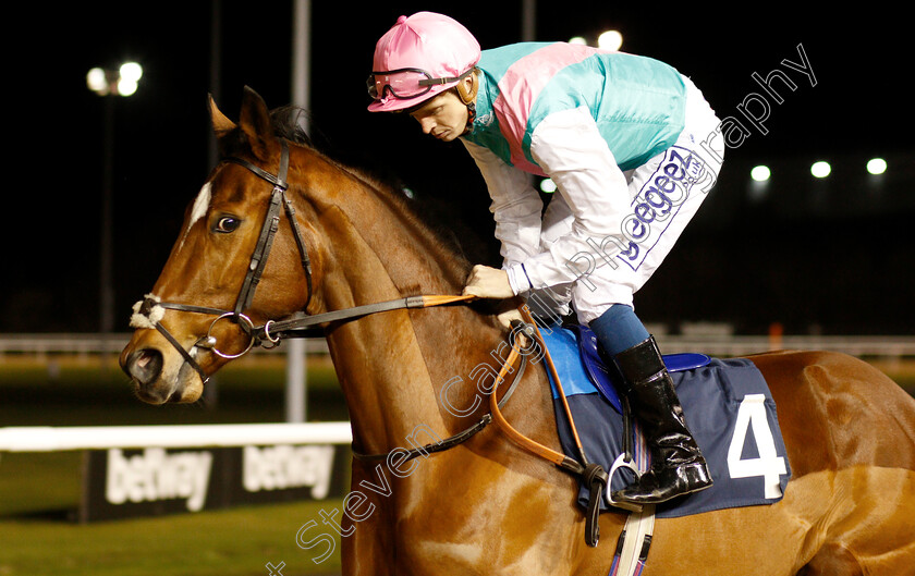 Clerisy-0002 
 CLERISY (David Probert)
Wolverhampton 10 Dec 2018 - Pic Steven Cargill / Racingfotos.com