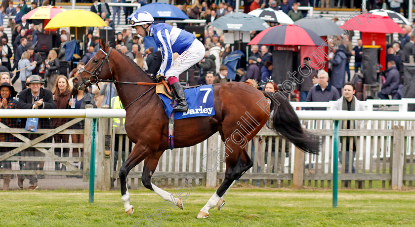 The-Foxes-0001 
 THE FOXES (Oisin Murphy)
Newmarket 12 Oct 2024 - Pic Steven Cargill / Racingfotos.com