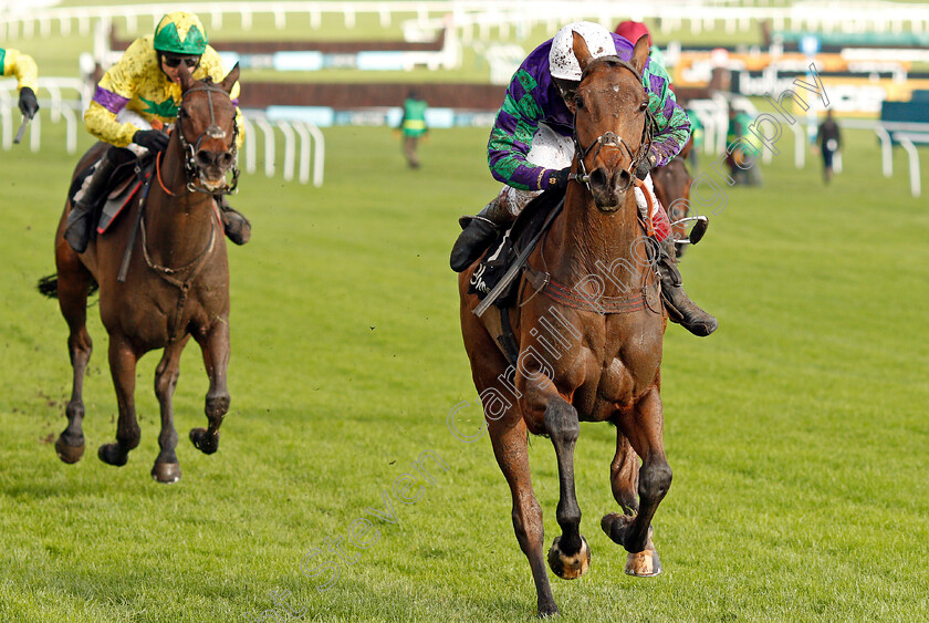 Thyme-Hill-0007 
 THYME HILL (Richard Johnson) wins The Ballymore Novices Hurdle
Cheltenham 16 Nov 2019 - Pic Steven Cargill / Racingfotos.com