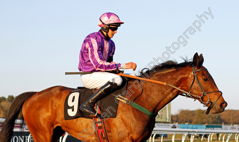 Oksana-0010 
 OKSANA (Jonathan England) after The Mansionbet Best Odds Guaranteed Handicap Hurdle
Market Rasen 19 Apr 2021 - Pic Steven Cargill / Racingfotos.com