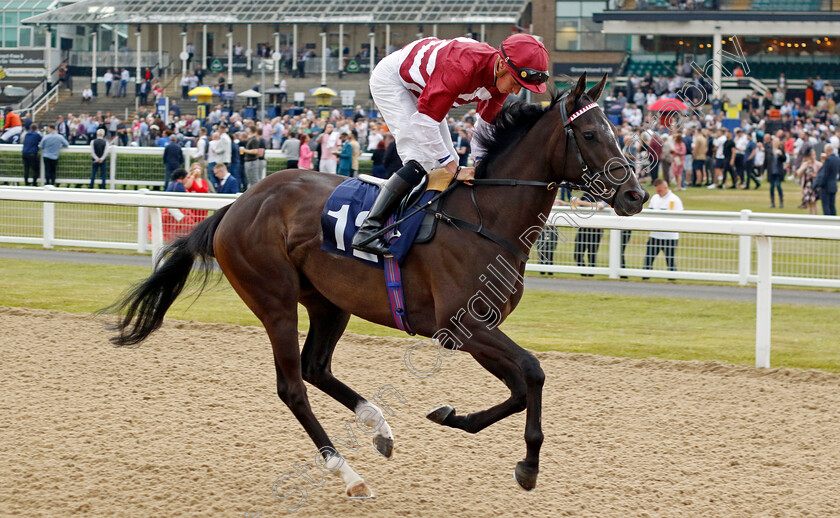 Fiorina 
 FIORINA (Sam James)
Newcastle 24 Jun 2022 - Pic Steven Cargill / Racingfotos.com