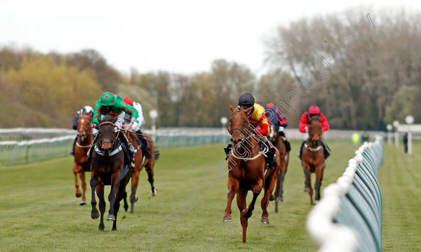 Sir-Ron-Priestley-0005 
 SIR RON PRIESTLEY (right, Franny Norton) beats OCEAN WIND (left) in The Mansionbet Barry Hill Further Flight Stakes
Nottingham 7 Apr 2021 - Pic Steven Cargill / Racingfotos.com