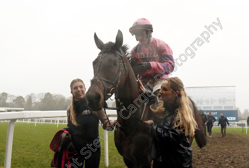 Crambo-0008 
 CRAMBO (Jonathan Burke) winner of The Howden Long Walk Hurdle
Ascot 21 Dec 2024 - Pic Steven Cargill / Racingfotos.com