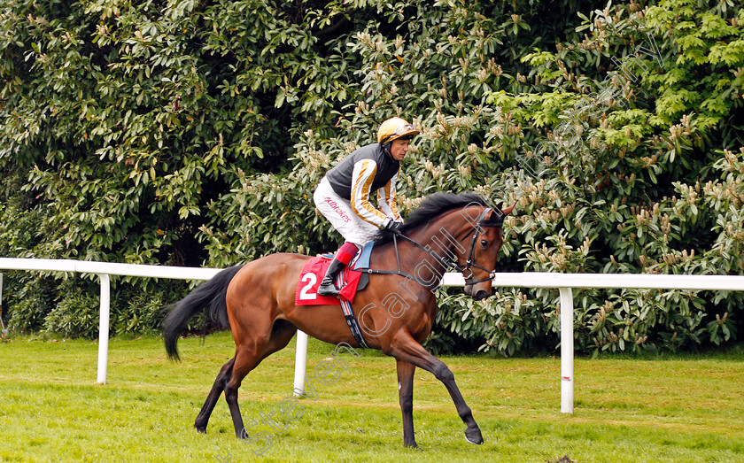 Highgarden-0001 
 HIGHGARDEN (Frankie Dettori) Sandown 27 Apr 2018 - Pic Steven Cargill / Racingfotos.com