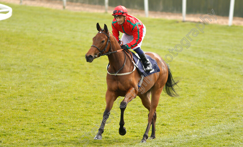 Companion-0001 
 COMPANION (Silvestre De Sousa) winner of The EBF Stallions Maiden Fillies Stakes
Yarmouth 23 Apr 2019 - Pic Steven Cargill / Racingfotos.com