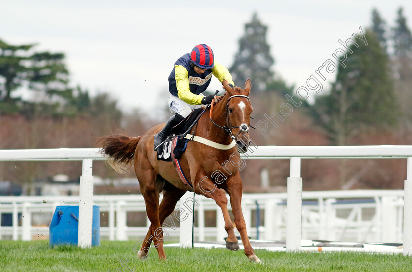 Pic-Roc-0003 
 PIC ROC (Ben Jones) wins The Ascot Shop Novices Hurdle
Ascot 17 Feb 2024 - Pic Steven Cargill / Racingfotos.com