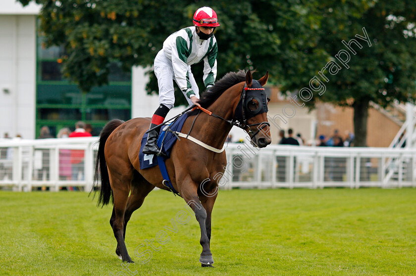 Silkstone-0001 
 SILKSTONE (Christian Howarth)
Yarmouth 1 Jul 2021 - Pic Steven Cargill / Racingfotos.com