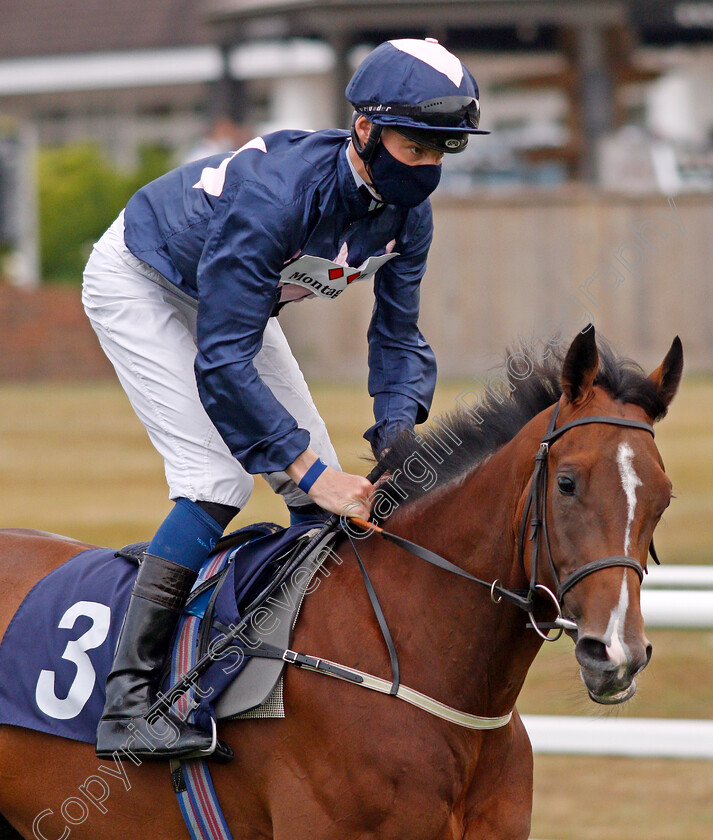 Just-A-Jeroboam-0001 
 JUST A JEROBOAM (Daniel Muscutt)
Lingfield 14 Aug 2020 - Pic Steven Cargill / Racingfotos.com