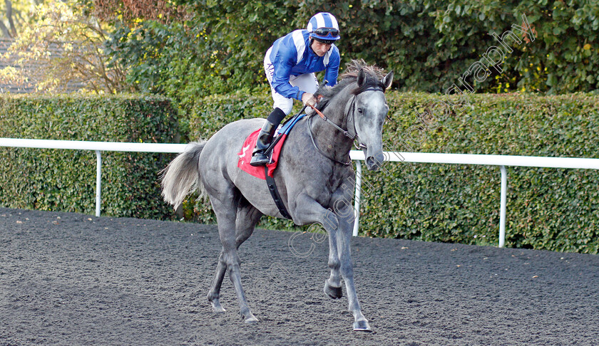 Mubakker-0001 
 MUBAKKER (Dane O'Neill) winner of The Matchbook Betting Exchange Novice Stakes
Kempton 3 Sep 2019 - Pic Steven Cargill / Racingfotos.com