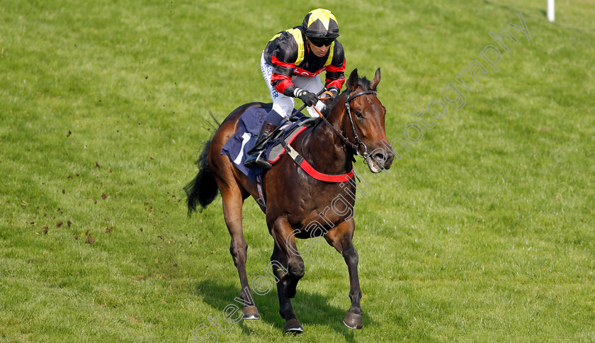 Global-Wisdom-0006 
 GLOBAL WISDOM (Silvestre De Sousa) wins The Free Tips On attheraces.com Nursery
Yarmouth 16 Sep 2021 - Pic Steven Cargill / Racingfotos.com