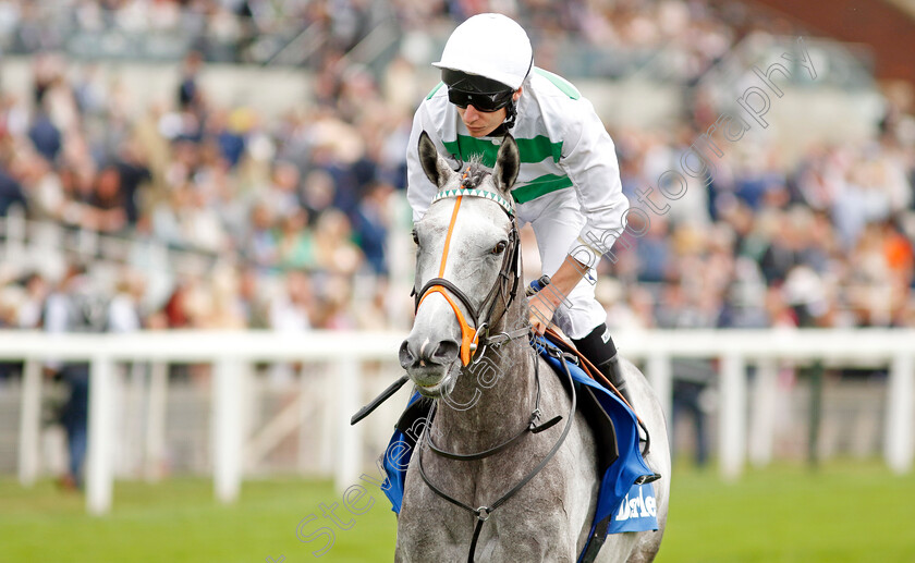 Alpinista-0002 
 ALPINISTA (Luke Morris) winner of The Darley Yorkshire Oaks
York 18 Aug 2022 - Pic Steven Cargill / Racingfotos.com