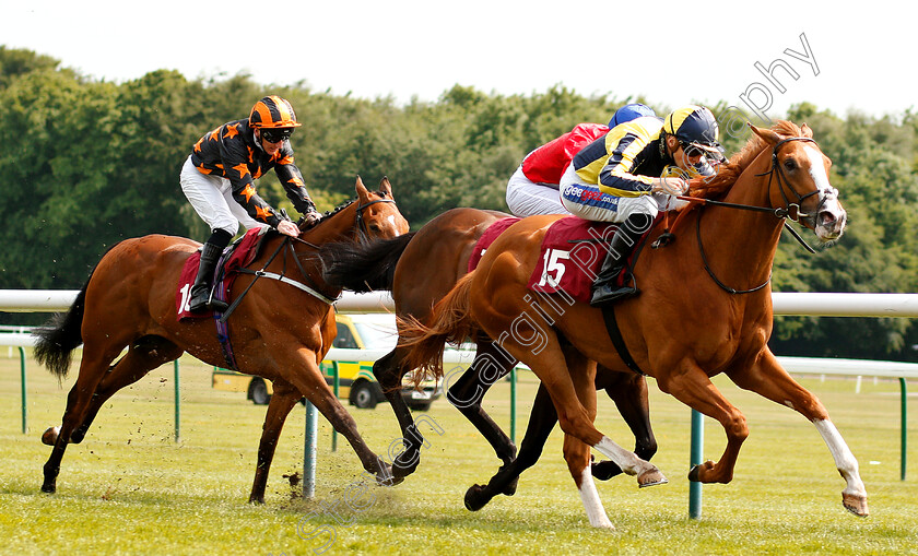 Crack-On-Crack-On-0001 
 CRACK ON CRACK ON (David Probert) wins The Amix Silver Bowl Handicap
Haydock 26 May 2018 - Pic Steven Cargill / Racingfotos.com