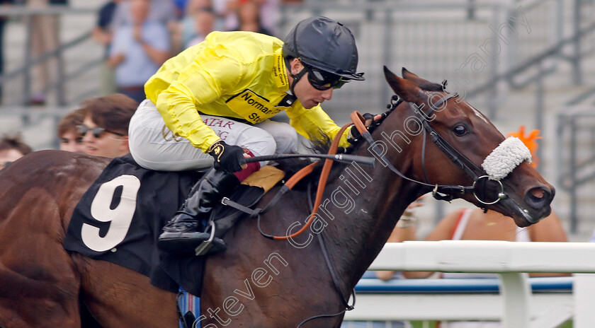 Miss-Information-0003 
 MISS INFORMATION (Oisin Murphy) wins The Events At Ascot Christmas Parties British EBF Restricted Novice Stakes
Ascot 8 Sep 2023 - Pic Steven Cargill / Racingfotos.com