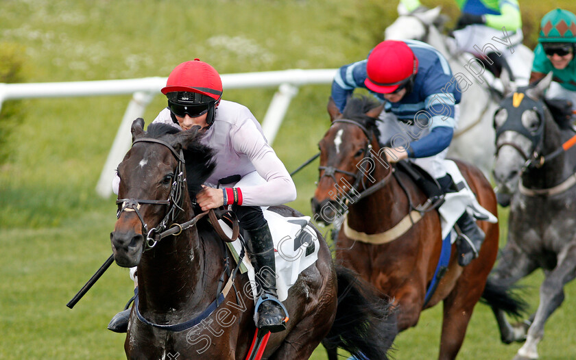 Iranistan-0008 
 IRANISTAN (Darren Nagle) wins The Marcellus Frost Champion Hurdle Percy Warner Park, Nashville 12 May 2018 - Pic Steven Cargill / Racingfotos.com