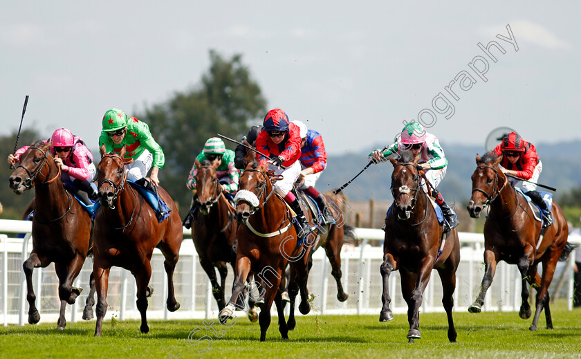 Boafo-Boy-0001 
 BOAFO BOY (2nd right, Shane Kelly) beats WAR IN HEAVEN (centre) in The Byerley Stud British EBF Novice Stakes Div1
Salisbury 11 Aug 2021 - Pic Steven Cargill / Racingfotos.com