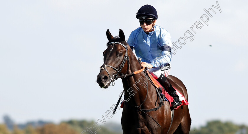 Culture-0001 
 CULTURE (Jason Watson)
Sandown 19 Sep 2018 - Pic Steven Cargill / Racingfotos.com