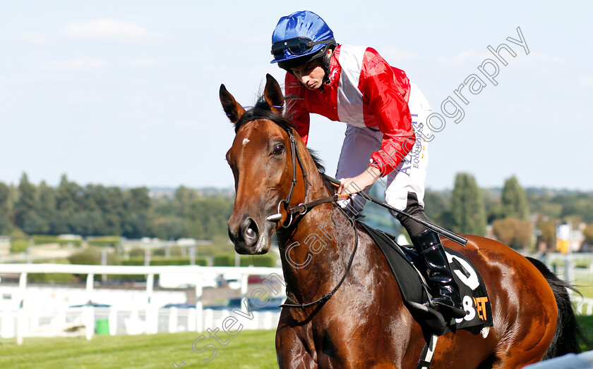 Veracious-0002 
 VERACIOUS (Ryan Moore) before The 188bet Casino Atalanta Stakes
Sandown 1 Sep 2018 - Pic Steven Cargill / Racingfotos.com