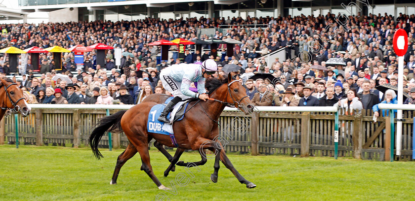 Tomfre-0003 
 TOMFRE (Harry Bentley) wins The Dubai Nursery
Newmarket 12 Oct 2019 - Pic Steven Cargill / Racingfotos.com