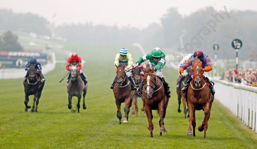 Showmethewayavrilo-0002 
 SHOWMETHEWAYAVRILO (right, Charlie Bennett) beats NEZAR (left) in The 188bet.co.uk Handicap Goodwood 27 Sep 2017 - Pic Steven Cargill / Racingfotos.com