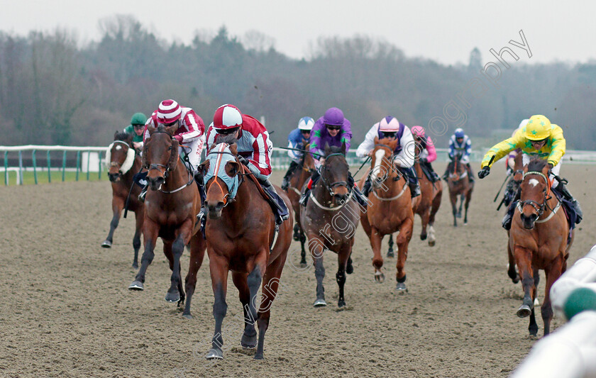 Karam-Albaari-0002 
 KARAM ALBAARI (Martin Harley) wins The Betway Handicap Div1 Lingfield 13 Jan 2018 - Pic Steven Cargill / Racingfotos.com