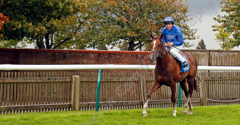 Shadow-Of-Light-0010 
 SHADOW OF LIGHT (William Buick) winner of The Darley Dewhurst Stakes
Newmarket 12 Oct 2024 - Pic Steven Cargill / Racingfotos.com