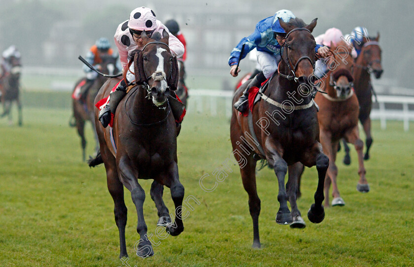 Chiefofchiefs-0003 
 CHIEFOFCHIEFS (left, Richard Kingscote) beats KYNREN (right) in The Matchbook Betting Podcast Whitsun Cup Handicap Sandown 24 May 2018 - Pic Steven Cargill / Racingfotos.com