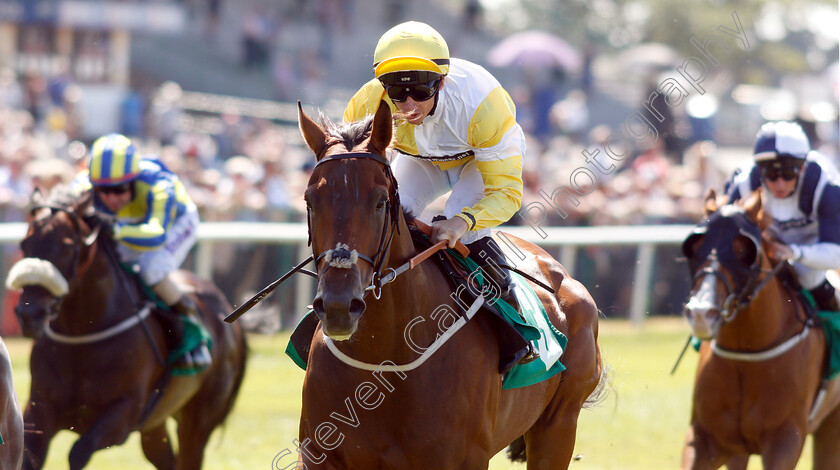 Suitcase- n -Taxi-0007 
 SUITCASE 'N' TAXI (David Allan) wins The John Hopkinson Memorial Handicap
Thirsk 4 Jul 2018 - Pic Steven Cargill / Racingfotos.com