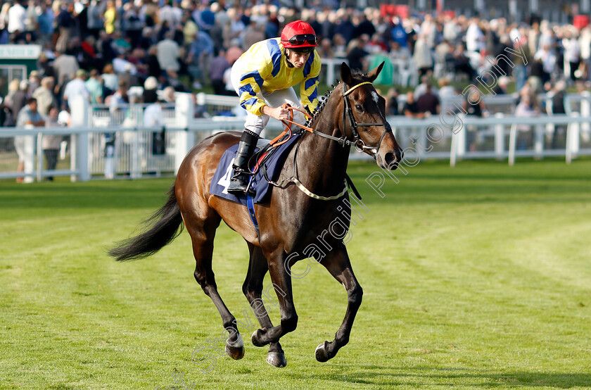 Karmology-0001 
 KARMOLOGY (Ryan Moore)
Yarmouth 18 Sep 2024 - Pic Steven Cargill / Racingfotos.com