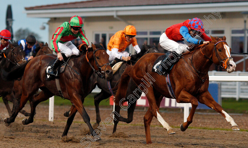 Animal-Instinct-0004 
 ANIMAL INSTINCT (Ryan Tate) beats KARIBANA (left) in The totepool Cashback Club At totesport.com EBF Novice Stakes
Chelmsford 24 Oct 2019 - Pic Steven Cargill / Racingfotos.com