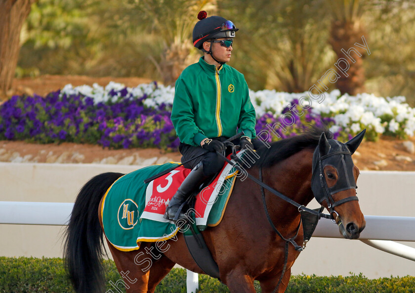 Iron-Barows-0003 
 IRON BAROWS training for The Red Sea Turf Handicap
King Abdulaziz Racecourse, Saudi Arabia 20 Feb 2024 - Pic Steven Cargill / Racingfotos.com