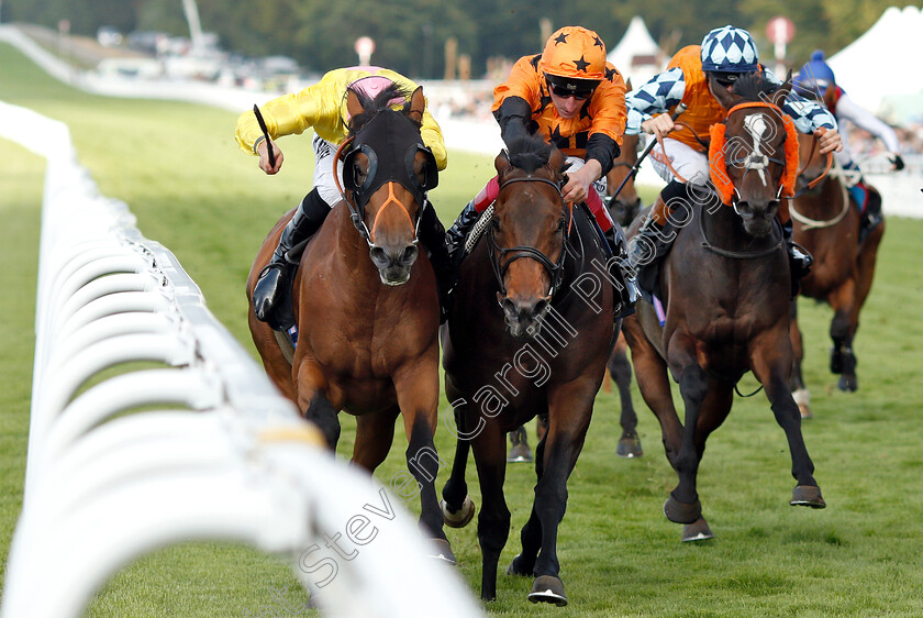 Dirty-Rascal-0002 
 DIRTY RASCAL (left, Tom Marquand) beats SALUTE THE SOLDIER (centre) in The New & Lingwood Handicap
Goodwood 31 Jul 2019 - Pic Steven Cargill / Racingfotos.com