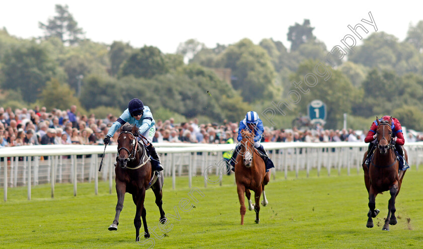 Royal-Patronage-0003 
 ROYAL PATRONAGE (Jason Hart) wins The Tattersalls Acomb Stakes
York 18 Aug 2021 - Pic Steven Cargill / Racingfotos.com