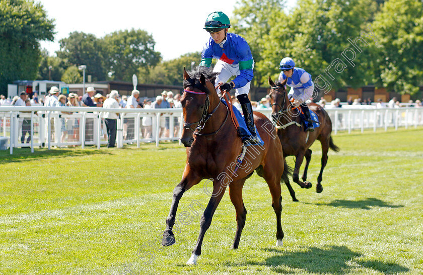 Time-Step-0001 
 TIME STEP (Taylor Fisher)
Salisbury 11 Aug 2022 - Pic Steven Cargill / Racingfotos.com