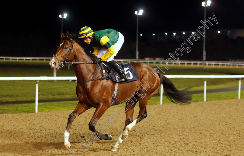 Yokohama-0001 
 YOKOHAMA (Sean Levey)
Wolverhampton 20 Dec 2024 - Pic Steven Cargill / Racingfotos.com