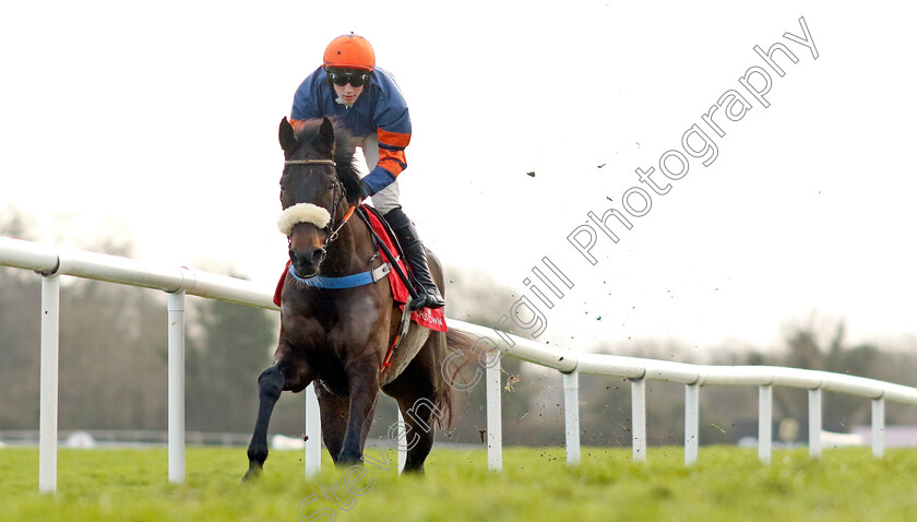 Midweek-Voices-0003 
 MIDWEEK VOICES (Cian Quirke) wins The Adare Manor Opportunity Handicap Chase
Punchestown 12 Jan 2025 - Pic Steven Cargill / Racingfotos.com