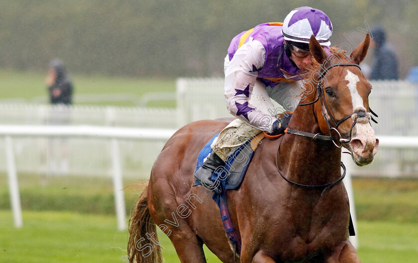 Starzintheireyes-0003 
 STARZINTHEIREYES (Rossa Ryan) wins The British Stallion Studs EBF Novice Stakes
Leicester 10 Sep 2024 - Pic Steven Cargill / Racingfotos.com