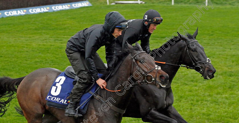 Threeunderthrufive-and-Kapcorse-0001 
 THREEUNDERTHRUFIVE (left, Adrian Heskin) with KAPCORSE (right, A P McCoy) at Coral Gold Cup Weekend Gallops Morning
Newbury 15 Nov 2022 - Pic Steven Cargill / Racingfotos.com