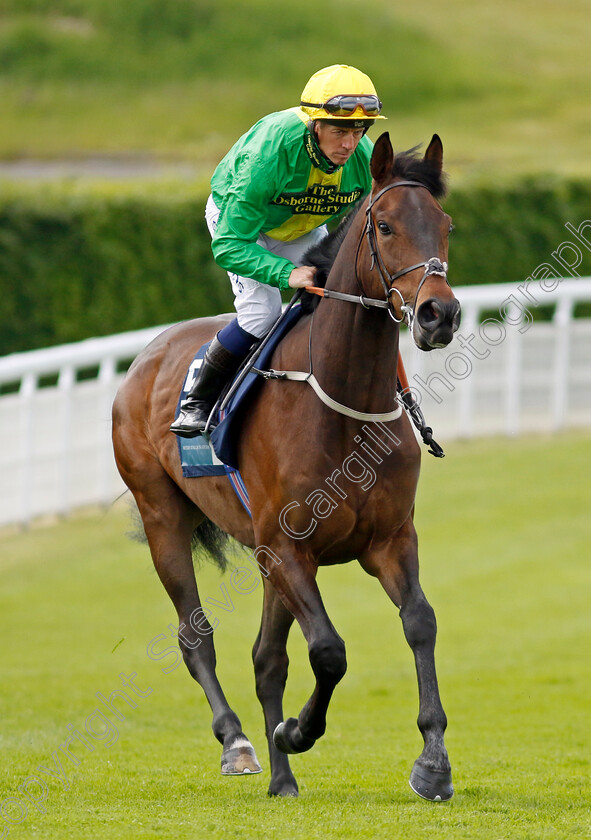 Maksud-0002 
 MAKSUD (Jim Crowley)
Goodwood 20 May 2022 - Pic Steven Cargill / Racingfotos.com