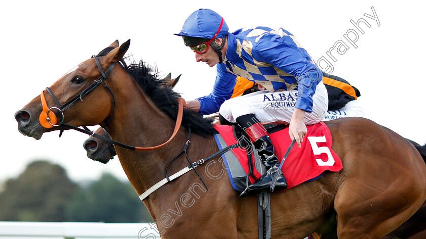 Hulcote-0003 
 HULCOTE (Adam Kirby) wins The 188bet Mobile Bet10 Get20 Handicap
Sandown 31 Aug 2018 - Pic Steven Cargill / Racingfotos.com