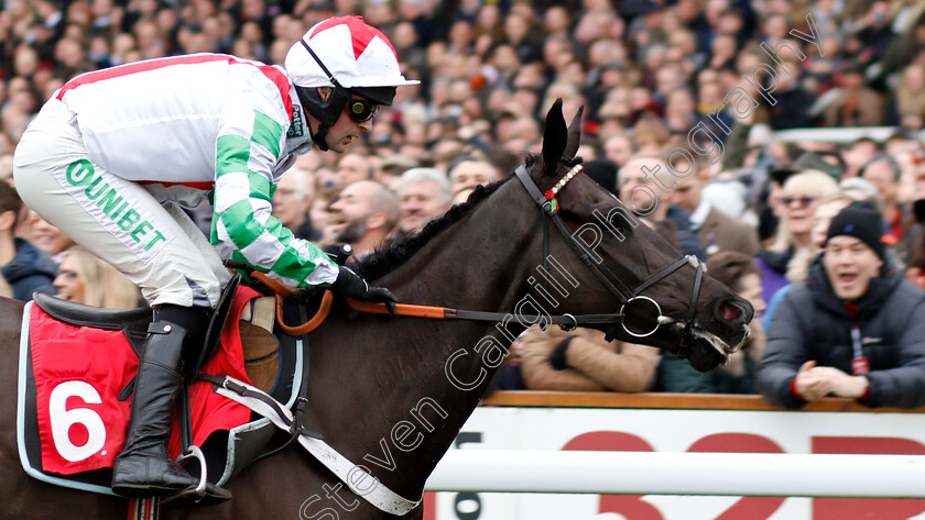 Mister-Fisher-0008 
 MISTER FISHER (Nico De Boinville) wins The 32Red Casino Novices Hurdle
Kempton 26 Dec 2018 - Pic Steven Cargill / Racingfotos.com