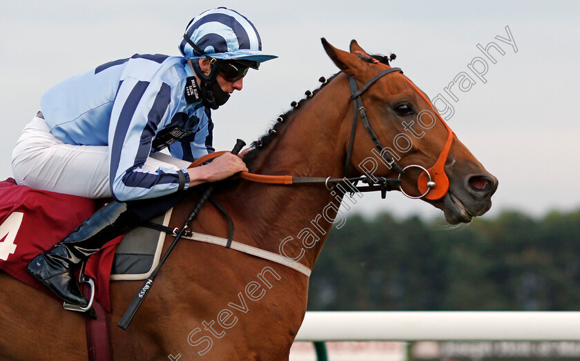 Tashkhan-0005 
 TASHKHAN (Harry Russell) wins The Join Racing TV Now Handicap
Haydock 28 May 2021 - Pic Steven Cargill / Racingfotos.com