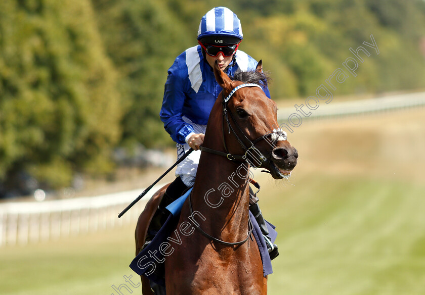 Bawaasil-0002 
 BAWAASIL (Dane O'Neill)
Newmarket 28 Jun 2018 - Pic Steven Cargill / Racingfotos.com