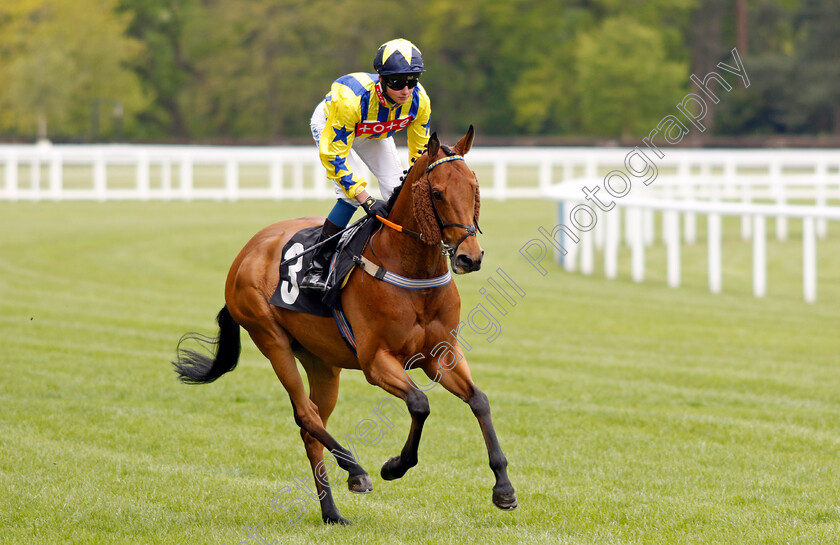 Lyndon-B 
 LYNDON B (William Cox)
Ascot 27 Apr 2022 - Pic Steven Cargill / Racingfotos.com