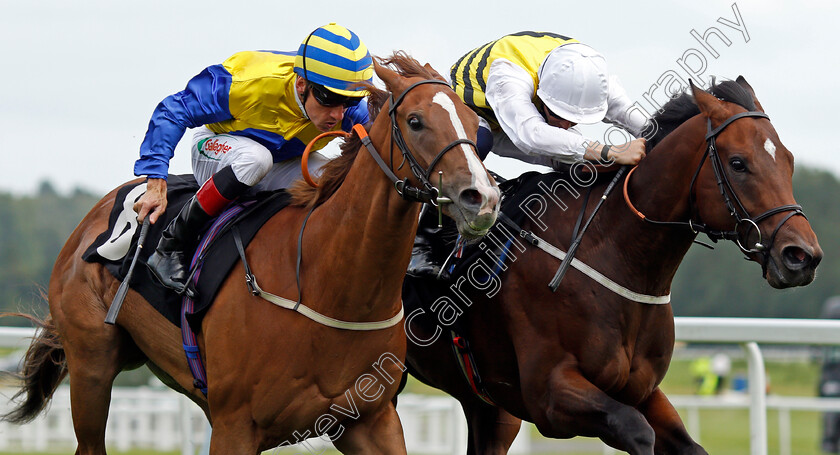 Amazonian-Dream-0004 
 AMAZONIAN DREAM (right, David Probert) beats RUSSELLINTHEBUSHES (left) in The Bet 10 Get 40 For New Customers Nursery
Newbury 13 Aug 2021 - Pic Steven Cargill / Racingfotos.com