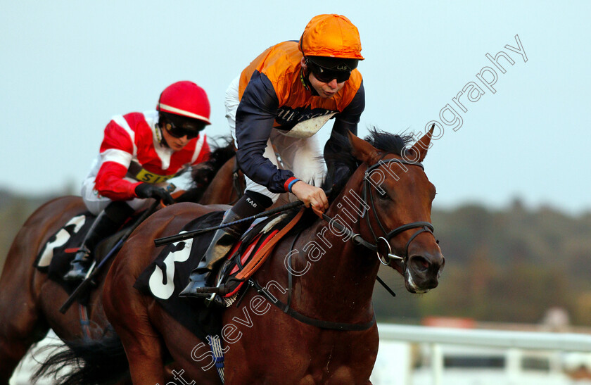 Marshal-Dan-0004 
 MARSHAL DAN (Robert Havlin) wins The Matthew Fedrick Farriery Handicap
Newbury 26 Jul 2018 - Pic Steven Cargill / Racingfotos.com