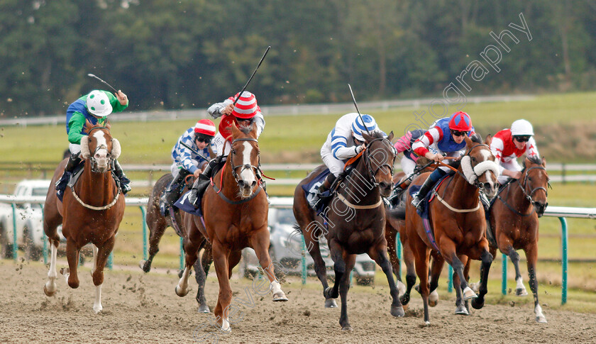 Sandfrankskipsgo-0001 
 SANDFRANKSKIPSGO (2nd left, Pat Dobbs) beats AQUADABRA (centre) in The Call Star Sports On 08000 521 321 Handicap
Lingfield 3 Oct 2019 - Pic Steven Cargill / Racingfotos.com